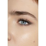 puroBIO PERFECT ONE Concealer